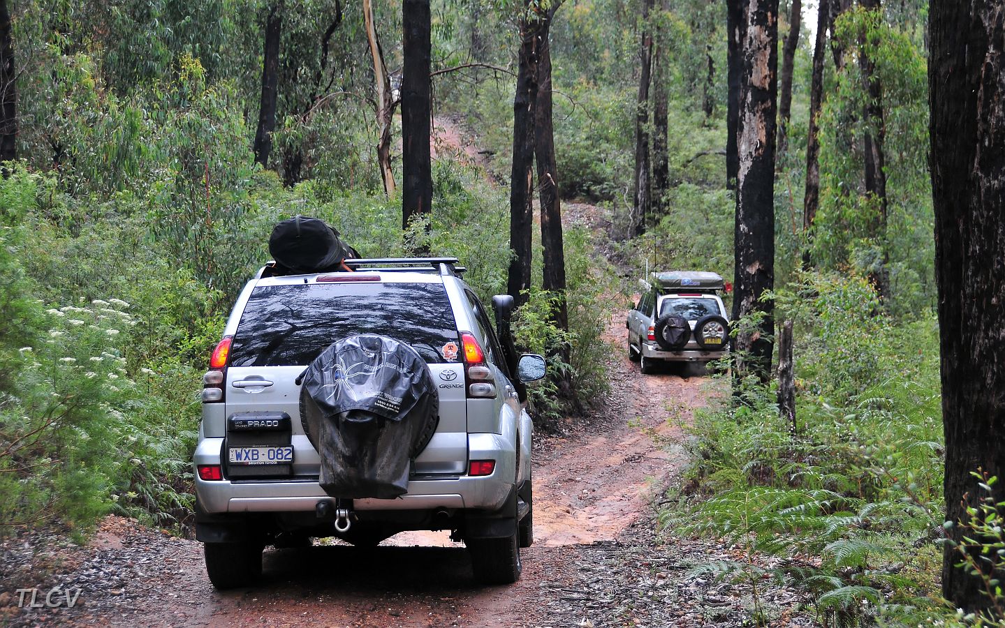 20-Jedi follows The Wanderra along the Avon River Track.jpg